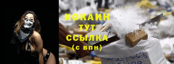 крисы Вязники