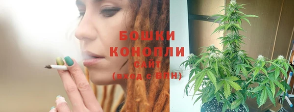 ешки Вяземский