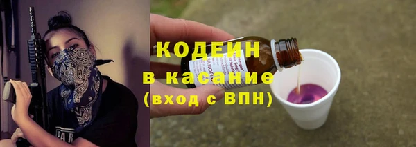 ешки Вяземский