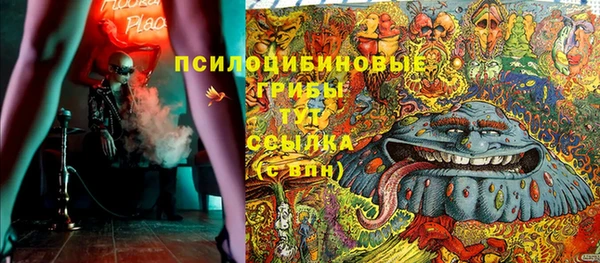 ешки Вяземский