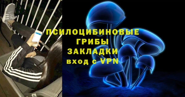 крисы Вязники