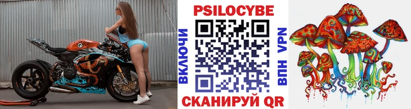 Псилоцибиновые грибы Psilocybine cubensis  гидра как зайти  Новочебоксарск 